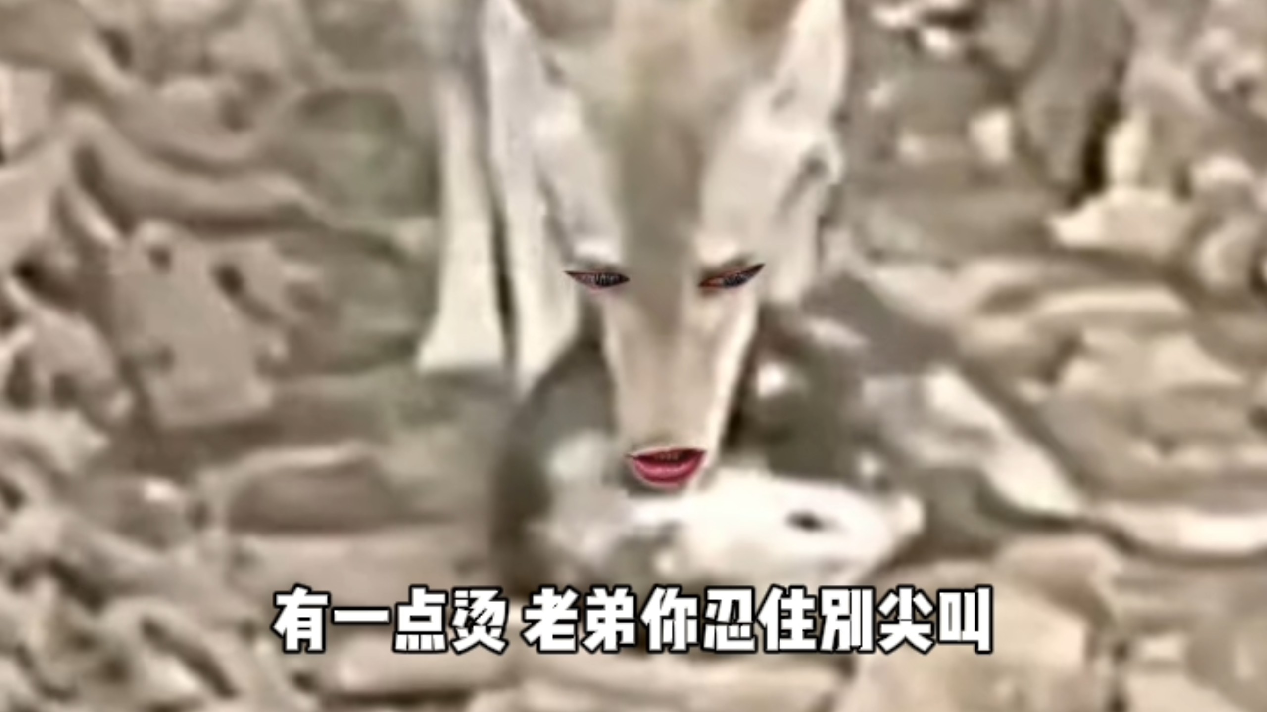 伤害性不大，侮辱性极强！