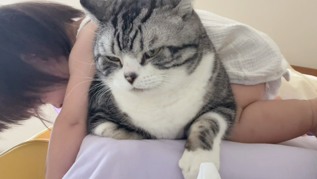 猫猫！你不能这么溺爱孩子啊！