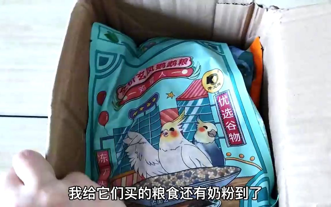 鹦鹉奶粉你选什么牌子的？鹦鹉出现问题真的是奶粉的原因吗？