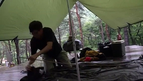 8c2440cc12f818fe7f90e6c5fcf7fc2f79b760b0.jpg@280w_158h_1c_100q.jpg