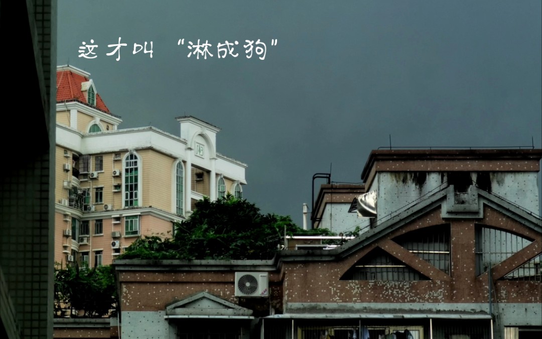 5.11广州暴雨 干旱地区都看傻了！画面变全白仅需几秒！什么样的雨会让我们停课在家？
