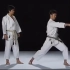 中达也教学视频完整版（the best of karate）