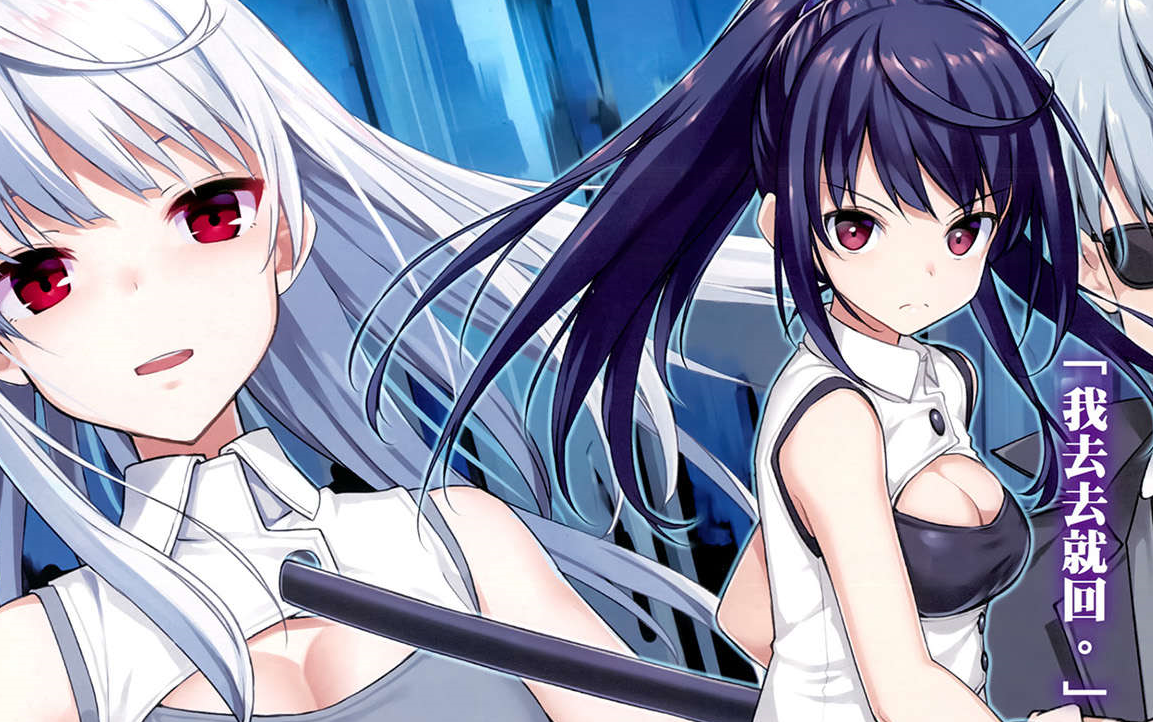 平凡职业造就世界最强 第九卷 有声小说