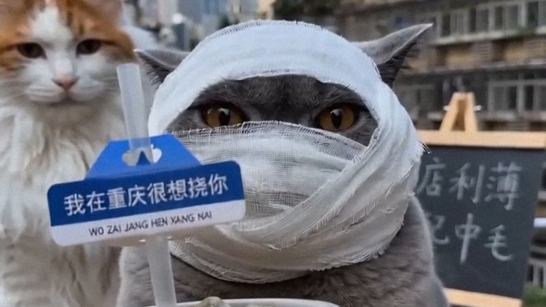 咪师傅爪打柠檬茶！卖茶送表演…
