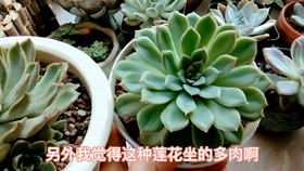 8c5fd5bb098ee9d7c48d0fe81fcb9a20ed369500.jpg@280w_158h_1c_100q.jpg