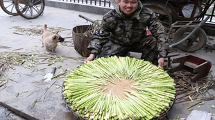 蒜头怎么保存才不会烂 8c66124fa39010991c1d3d1cce271df6bd7a3618.jpg@310w_174h_1c_100q.jpg