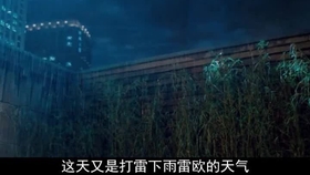 8c6adf338f9e7408aa7166853455a584d4b37e72.jpg@280w_158h_1c_100q.jpg