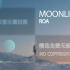 Moonlight – Roa （无版权音乐）| 欢快、喜悦、VLOG