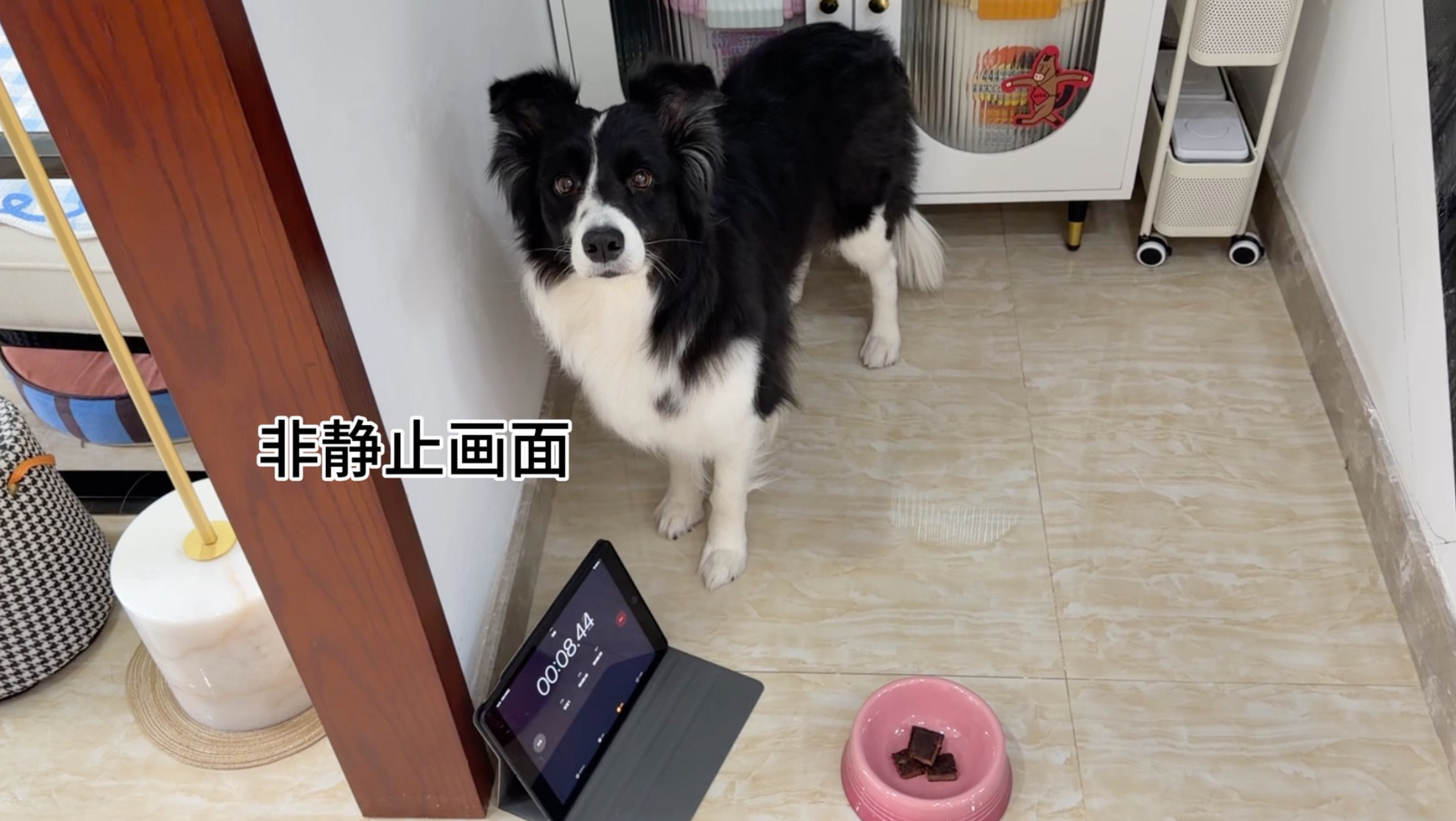 西卡的三分钟不吃挑战