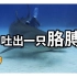 2022/07/09【搬运·老高与小茉】水族馆的鲨鱼嘴里吐出一条胳膊，引出一个完美犯罪