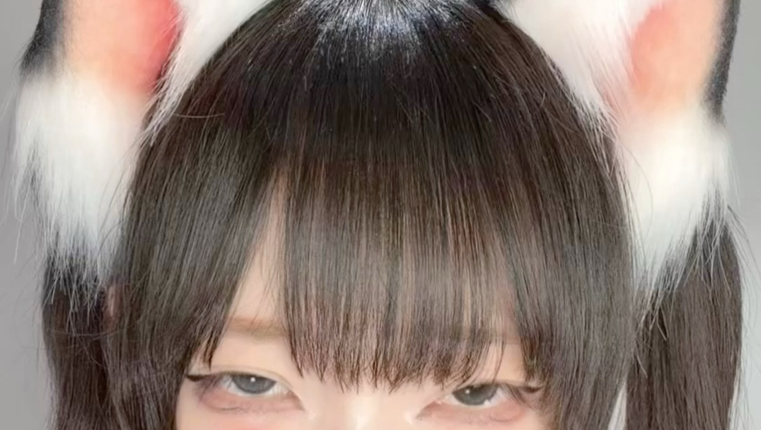 你有养猫的打算吗