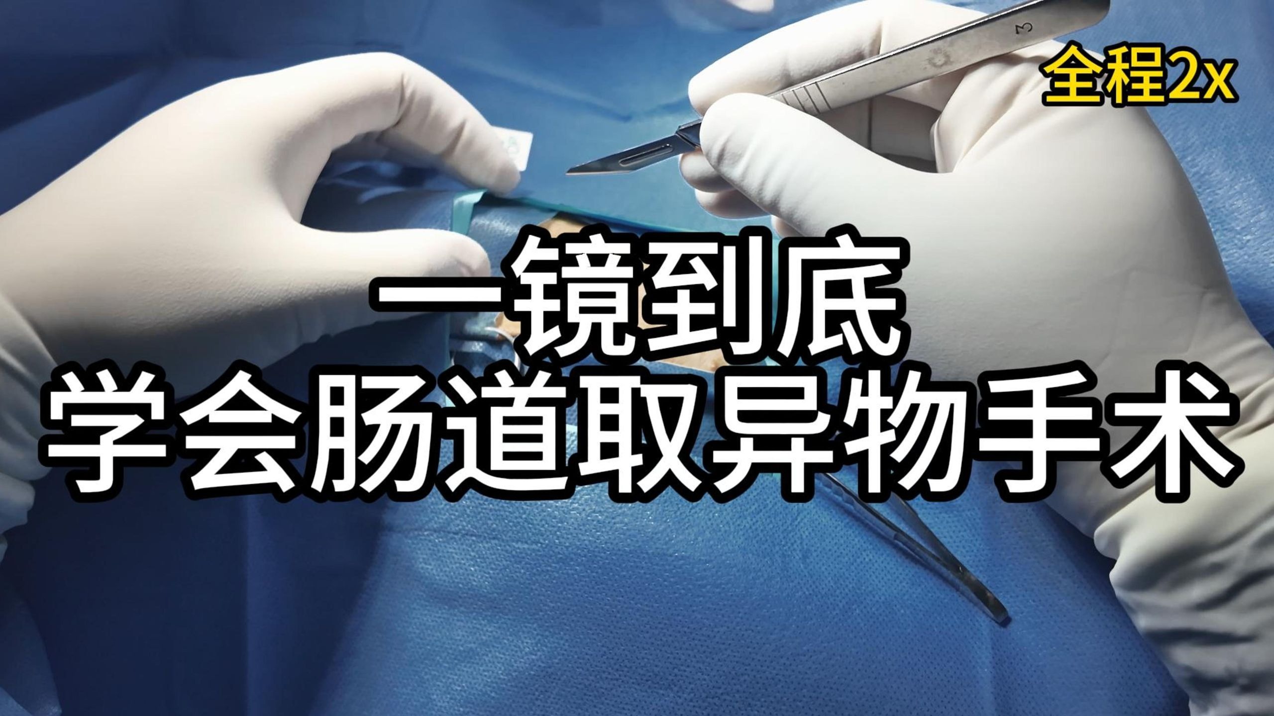 我在b站学兽医—肠道取异物手术