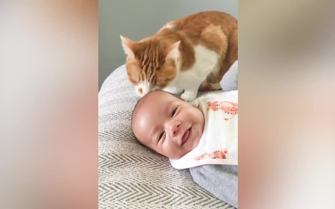婴儿和猫有趣和搞笑-让你笑闪了腰