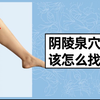 阴陵泉穴该怎么找