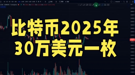 比特币2025年30万美元一枚，2024年初2万以下见