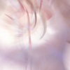 二次元高级壁纸