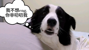 8d1026791e2026a9f943a9033a607dd446e8f45c.jpg@310w_174h_1c_100q.jpg