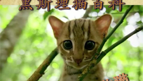 8d1eee3cda1a0be25de1c14d5c4709cc44b87915.jpg@280w_158h_1c_100q.jpg