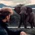 【油管剪辑|旅拍|剪辑大神】Sam kolder - The War against Poaching （有关打击偷猎的