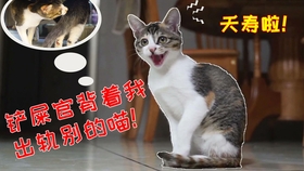 8d2fc2b5b1dcfe347a1ecbe0ff1d41f7579c20d8.jpg@280w_158h_1c_100q.jpg