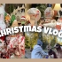 圣诞Vlog|一起去德国小镇感受浓浓圣诞气氛、采购圣诞礼物|装饰家居用品➕可爱羊驼喂食日