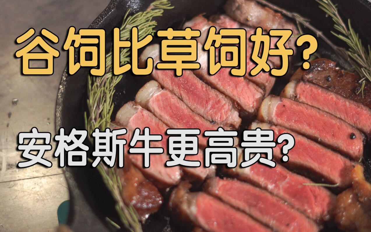 硬核牛肉指南(1) 和牛也有草饲的？一次把牛的出身和喂养聊明白