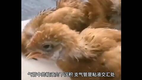 8d4b1005f3c58d7bba3a6533e6b30fa413558d68.jpg@480w_270h_1c
