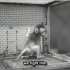 心理学经典实验02 哈洛的恒河猴依恋实验 转载自YouTube 英语字幕