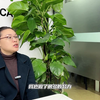 脑力中国服务中心标杆——泸县服务中心专访