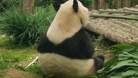 8d652f0f07982e37b2c5e4da5914ff0d481a3f1a.jpg@280w_158h_1c_100q.jpg
