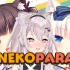 【Hiiro】主播不是你们的Nekopara2！