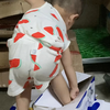 亲  生  父  母