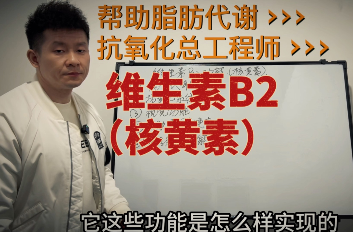 抗氧化系统总工程师 同时参与脂肪代谢 B2核黄素