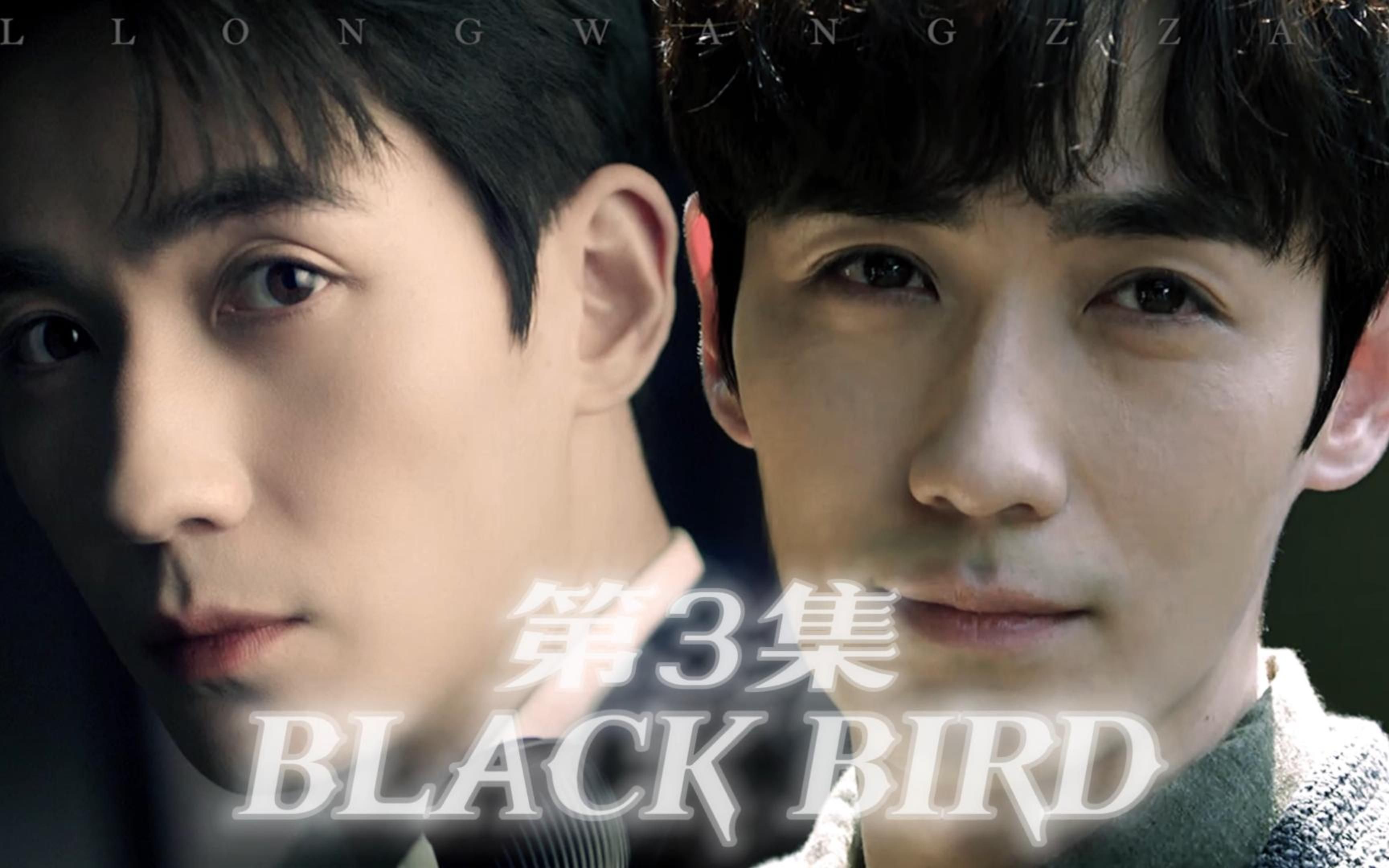【朱一龙水仙】《BLACK BIRD》第3集|狗鸟|邪鸣|HE|黑帮&男明星_哔哩哔哩_bilibili