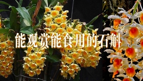 8ddf1693eda533012f18be24f1c7ba0200dc2b15.jpg@280w_158h_1c_100q.jpg
