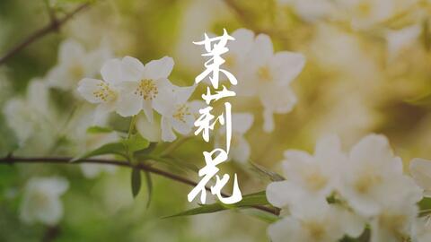 8de3b67cf647f2a3fb4ca5545b03df64b49447f1.jpg@480w_270h_1c