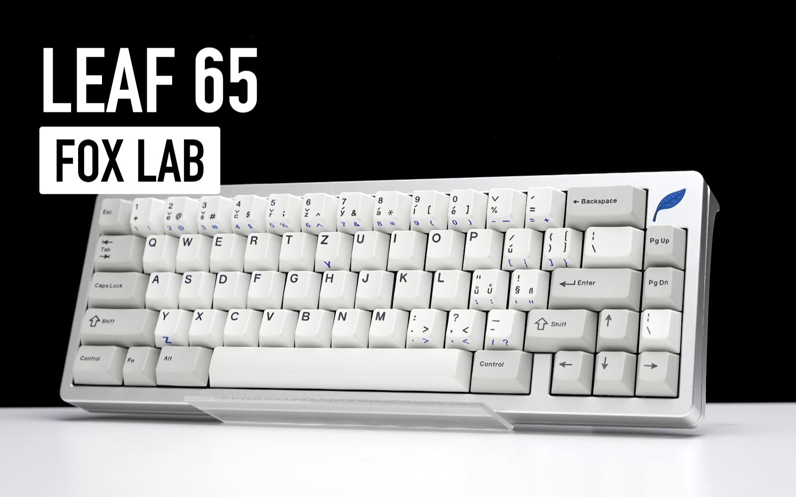 【AKS】一片来自Fox Lab的新树叶——Leaf 65_哔哩哔哩 (゜゜)つロ 干杯bilibili