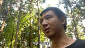 微风细雨小提琴曲谱_微风细雨曲谱(5)