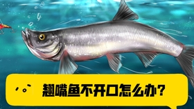 8e1065ec7718ee553eaa07cef79bc932c01ecba0.jpg@280w_158h_1c_100q.jpg