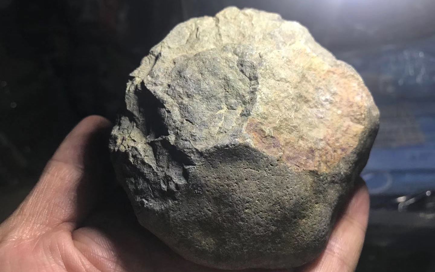 200万年前类人的生活工具奥杜威手斧