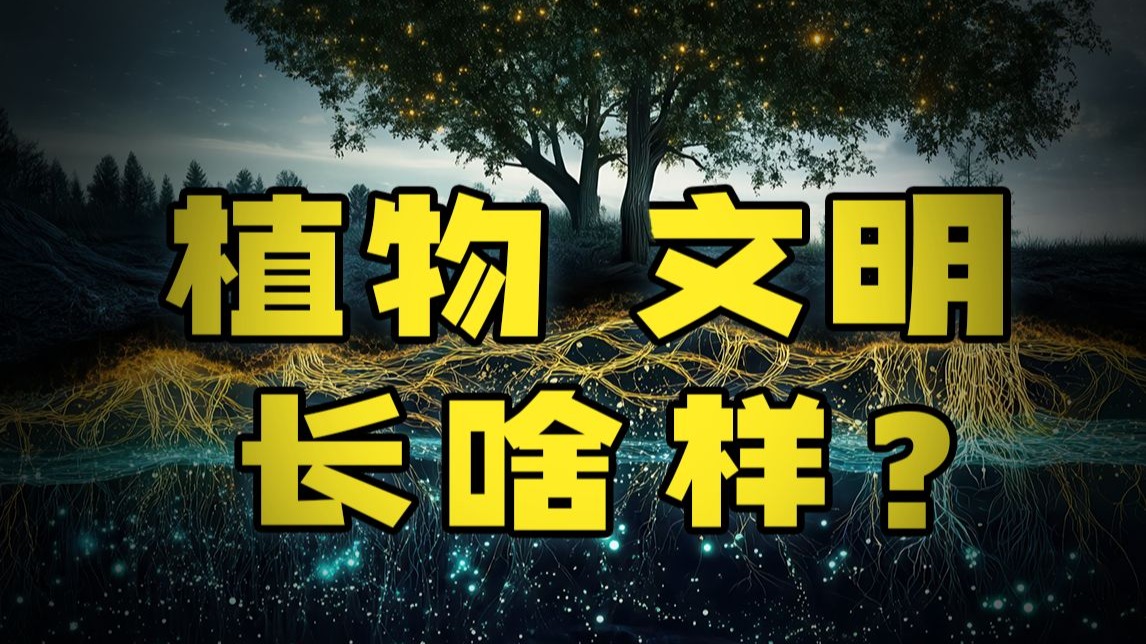 假如不存在动物，地球也会诞生文明吗？