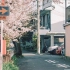 磯村由纪子-风居住的街道（風の住む街）
