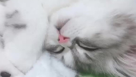 8e3d6fb67c344934db8e0db3d6b70fcfc272b2b4.png@280w_158h_1c_100q.jpg