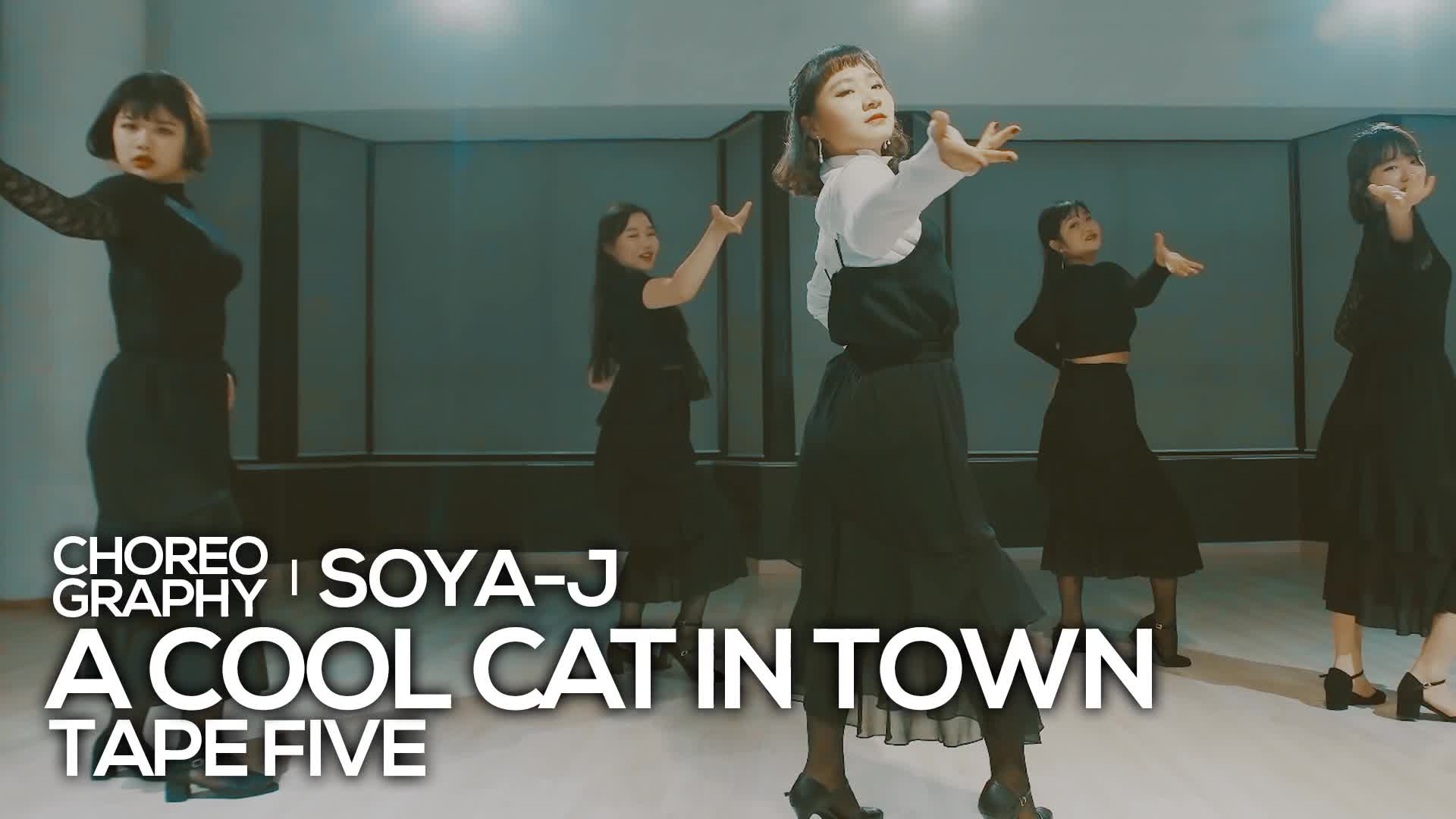 【soya-j 编舞】 跟着小野猫起舞吧 a cool cat in town【 waacking】