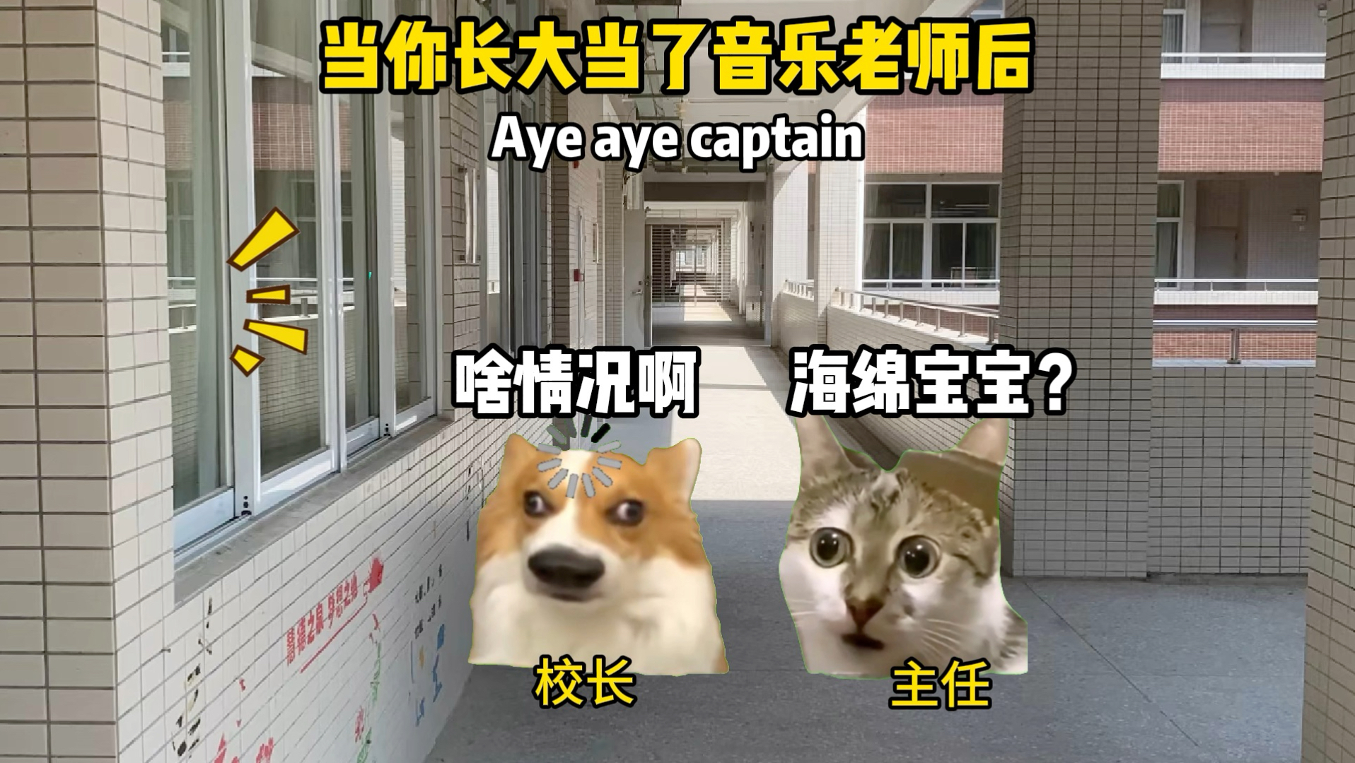 当你长大当了音乐老师后