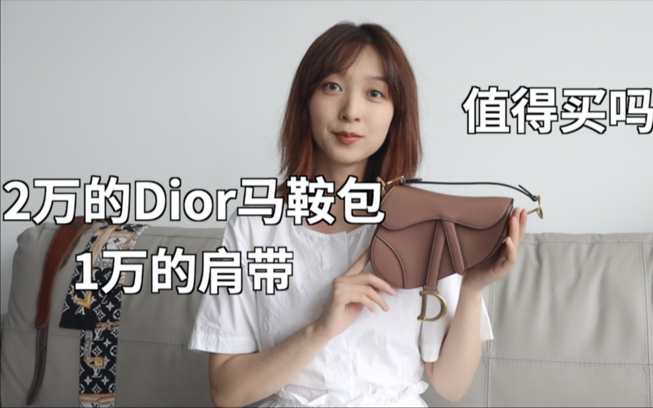 DIOR包包评测|Dior马鞍包mini大小性价比高吗?值得买吗?Dior Saddle Bag Review哔哩哔哩bilibili