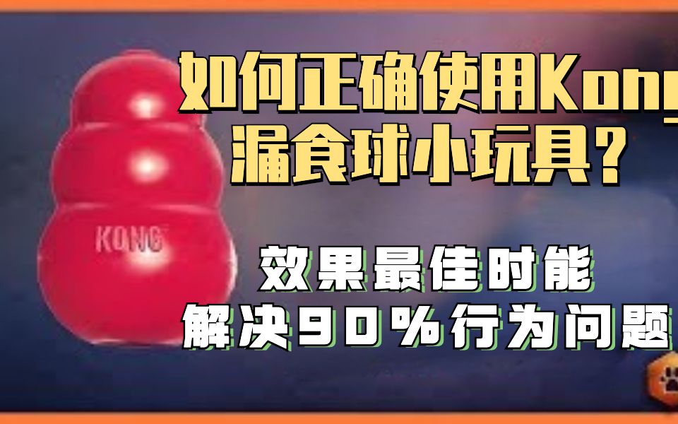 怎么用好Kong漏食球咀嚼器？专业训狗师教你如何用小玩具解决狗狗90%的行为问题