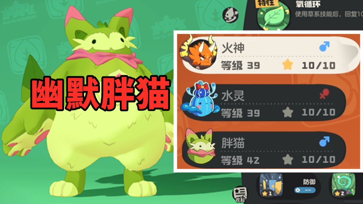 集齐了三主宠后一对比，本就垃圾的胖猫更垃圾了