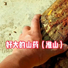来来，和二师兄边喝边聊
