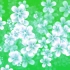 绿幕抠像飘浮的透明花朵